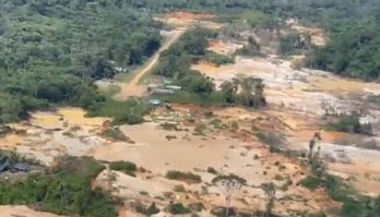Vídeos mostram a fuga de grupos de garimpeiros de área ianomâmi (Reprodução/Twitter)